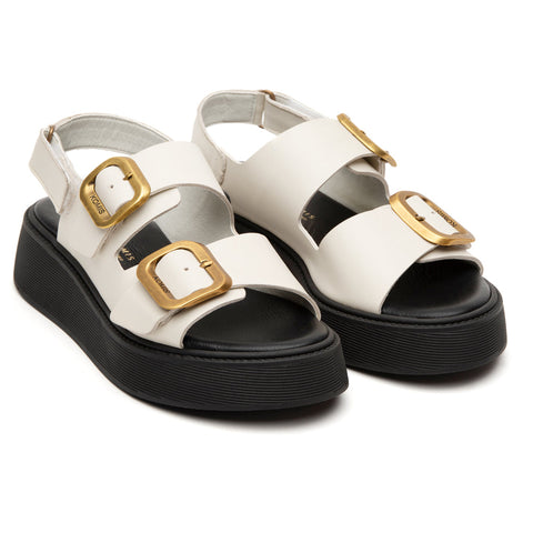 ANATOMIC PLATFORMS