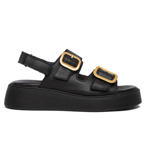 ANATOMIC PLATFORMS