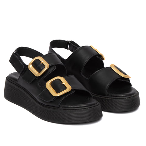 ANATOMIC PLATFORMS