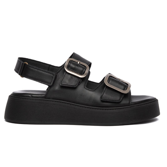 ANATOMIC PLATFORMS