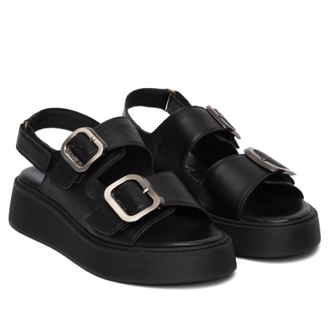 ANATOMIC PLATFORMS