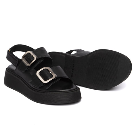 ANATOMIC PLATFORMS