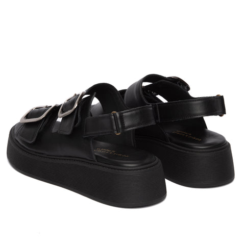 ANATOMIC PLATFORMS