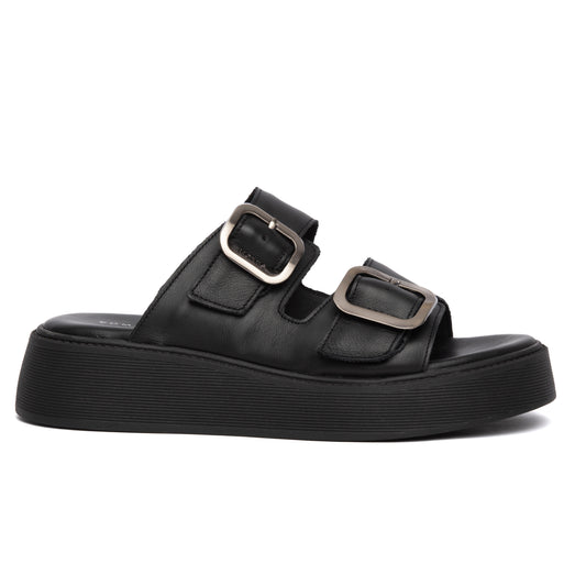 ANATOMIC PLATFORMS