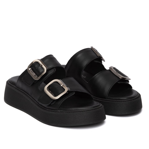 ANATOMIC PLATFORMS