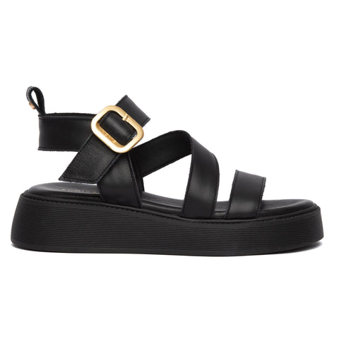 ANATOMIC PLATFORMS