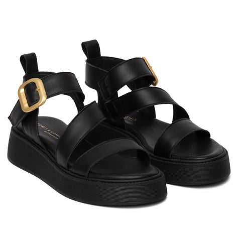 ANATOMIC PLATFORMS