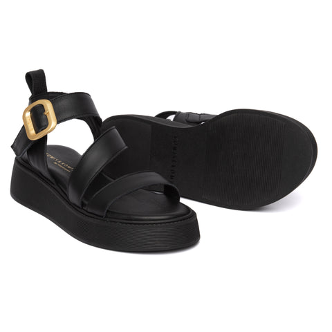 ANATOMIC PLATFORMS