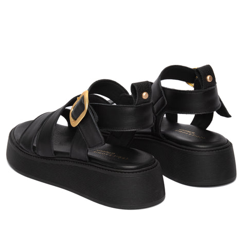 ANATOMIC PLATFORMS