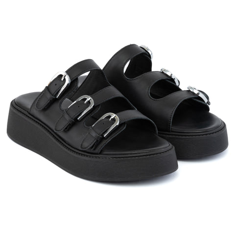 ANATOMIC PLATFORMS