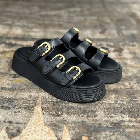 ANATOMIC PLATFORMS