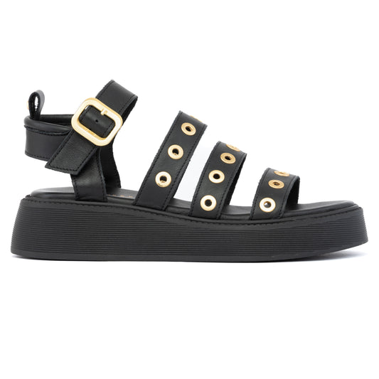ANATOMIC PLATFORMS