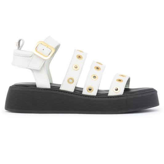 ANATOMIC PLATFORMS