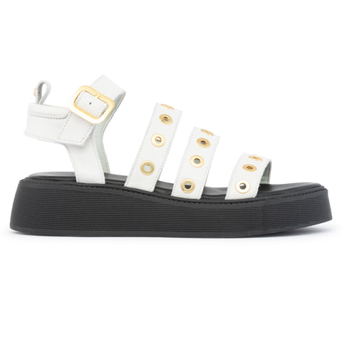 ANATOMIC PLATFORMS