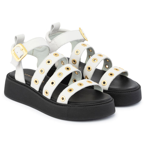 ANATOMIC PLATFORMS