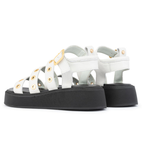 ANATOMIC PLATFORMS
