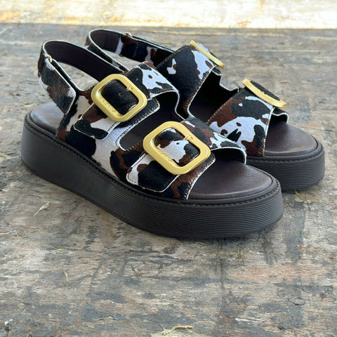 ANATOMIC PLATFORMS
