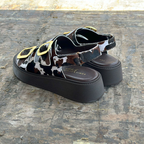 ANATOMIC PLATFORMS