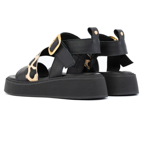 ANATOMIC PLATFORMS