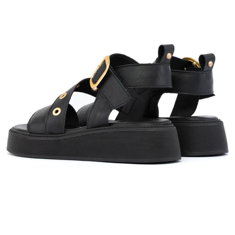 ANATOMIC PLATFORMS