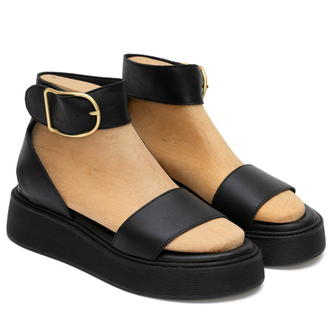 ANATOMIC PLATFORMS