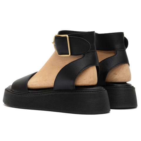 ANATOMIC PLATFORMS