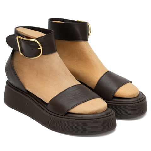 ANATOMIC PLATFORMS