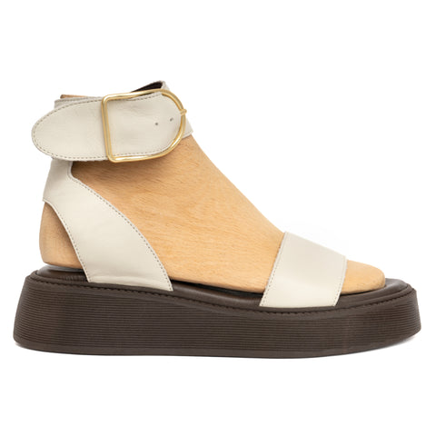 ANATOMIC PLATFORMS