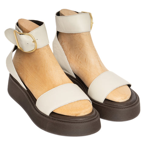 ANATOMIC PLATFORMS