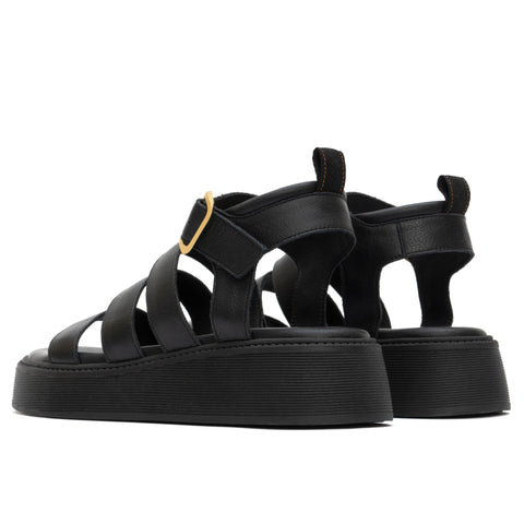 ANATOMIC PLATFORMS
