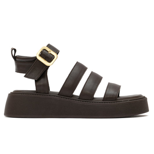ANATOMIC PLATFORMS