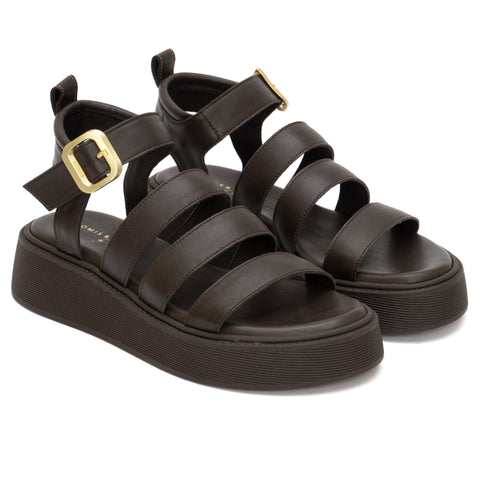 ANATOMIC PLATFORMS