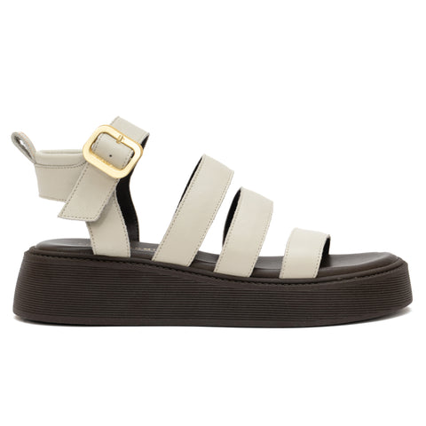 ANATOMIC PLATFORMS