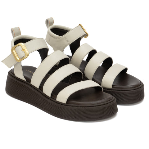 ANATOMIC PLATFORMS