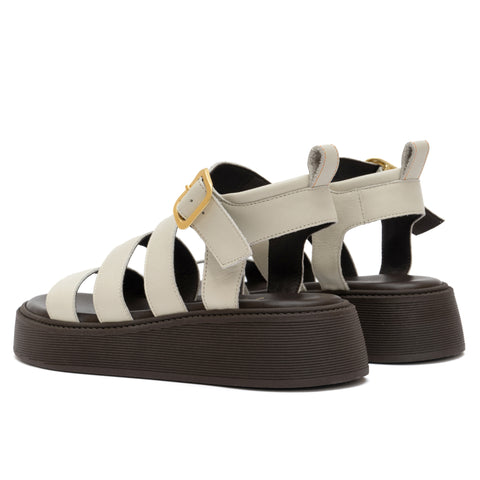ANATOMIC PLATFORMS